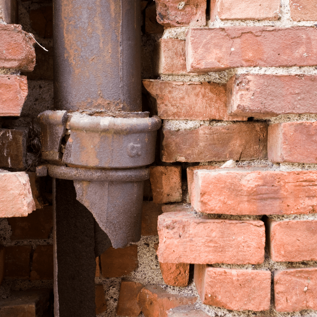 The Hidden Cost: How Housing Disrepair Silently Impacts Your Health